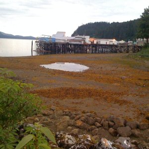 Media 'View of cold storage dock from Hoonah Harbor breakwater' in album 'Approaching Hoonah Trading Co fuel dock'