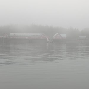 Media 'Fog lifted a bit the closer we got to Icy Strait' in album 'Approaching Hoonah Trading Co fuel dock'