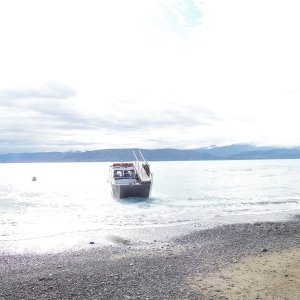 Arriving at Kapiti Is., the boat is run up on the beach and a bow gangway extended.  It is a slick system.