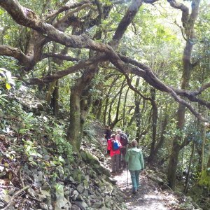 Most people go to Kapiti for the bird watching.  A NZ sanctuary since 1897, the non-native animals (rats, sheep, stoats, etc.) were only recently eradicated.  Native bird life is returning.