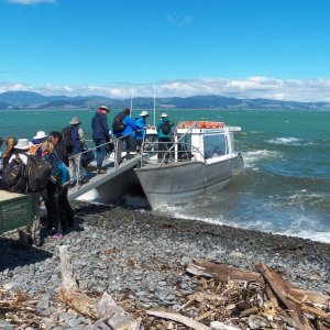 Time to go.  The once-a-day ferry arrival has a supply/social feeling.  Three Maori families still live on the island and provide guide and cooking services.