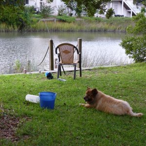 Teddy and I fishing in the Tidal pond in the back yard of the rental house