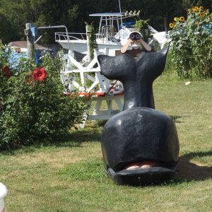 whale