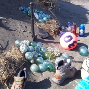 beach combing loot
