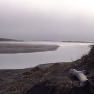 Ice Fog hosed up visibility for spotting bears