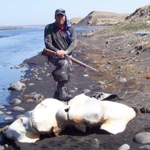 Whale Skull on the Bering sea shore