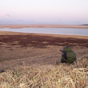 Glassing with Mount Shishaldin in the back ground.