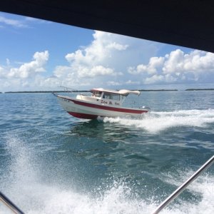IMG 0906