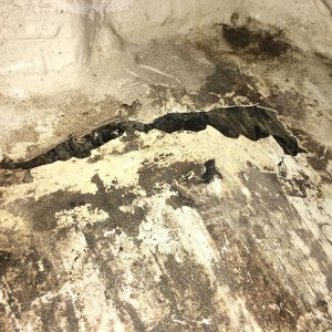 It could be peeled by hand in places - wood saturated