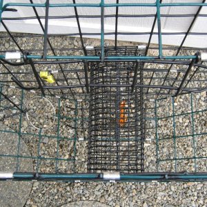 Media 'Notice how the trap gate opens flat against the bottom.  A smooth transition for the crab to enter.' in album 'McKay brand trap.  Much better quality, but at a price.'