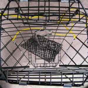 See the bent up mesh at the bottom of the gate?  I think it creates a barrier for crab to enter.  I'll remedy that with my air grinder & a cutting blade.