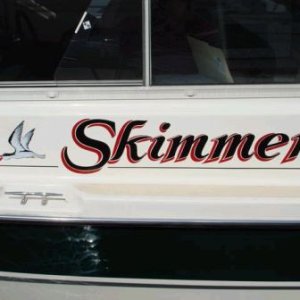 Skimmer, port close-up