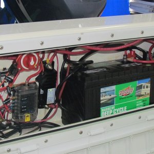 IMG 4535