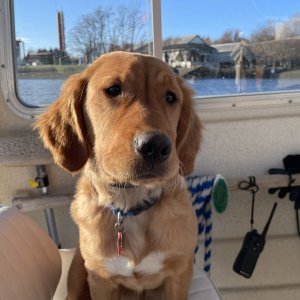 Media 'Walt\'s first boat ride' in album 'Summer Guemes Trip 2021'