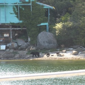 Beth and I stayed here in the 1980's when it was a fishing lodge.
