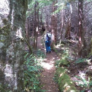 Through the woods to the north beach.
