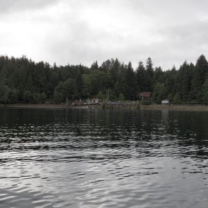 This is the remains of "Old Bella Bella" before the city moved across the channel.