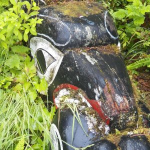Older totems lay in the brush around the Big House.