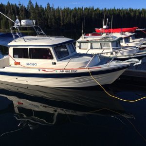 Yellowstone lake 2014