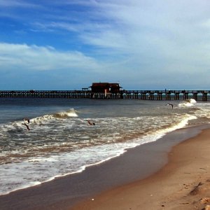 Media 'Naples Pier on the Gulf of Mexico' in album 'CaptSanta'