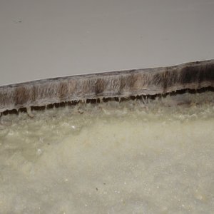 Here you can see the fiberglass material and core up close from the cutouts in the V-berth.