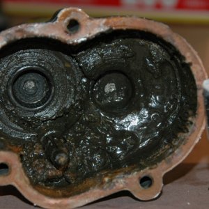 Media 'bottom of gearcase' in album 'windlass removed from boat'