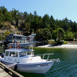 At Bedwell Harbor Customs Dock Sunday morning