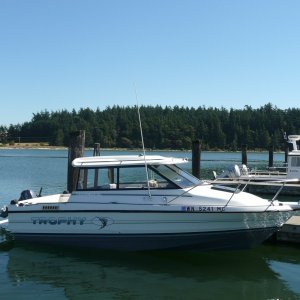 Boat #13 (2012-2013): 1990 Bayliner 21' at Oak Harbor in 2012.  Just noticed the Stray Cat in the background!
