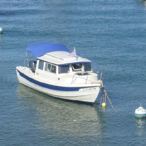 newburgee.JPG