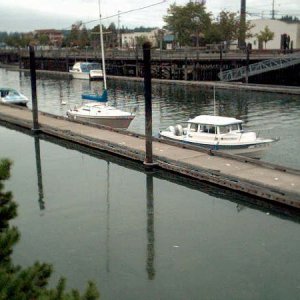 Percival Landing, Olympia, WA.