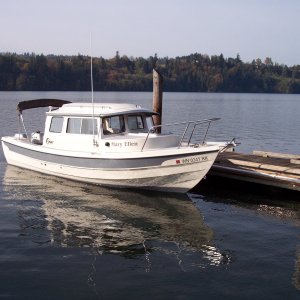 Another pic at Mayfield docks