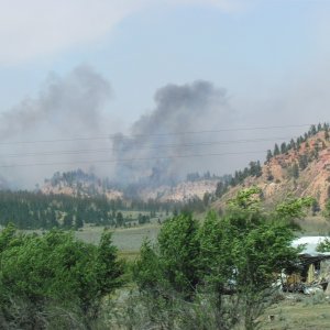 Media 'Forest Fire in the Custer National Forest east of Lame Deer Montana Northern Cheyenne Indian Reservation' in album 'IMG 1198'