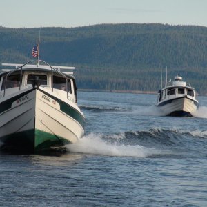 Yellowstone Lake 2011 Grace and Hunky Dory