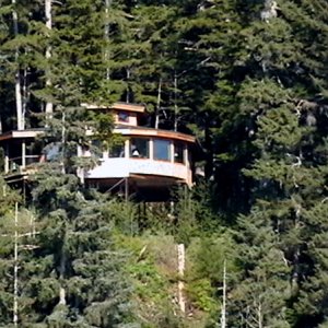Cottage in the trees at Shrine of Saint Therese