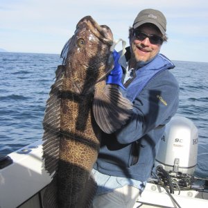 Lingcod!