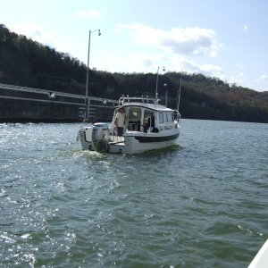 2007 0428(029)