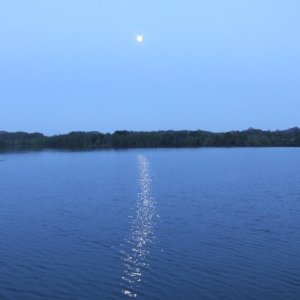 2007 0430(001)