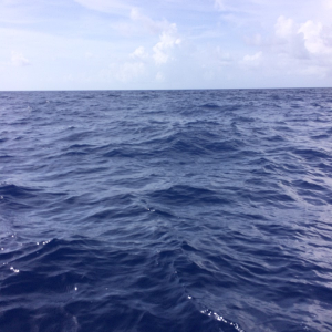 Gulf Stream - Sapphire Ocean