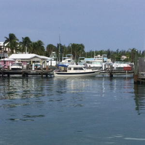 \"Dori Den\" The Little Boat That Could :-)