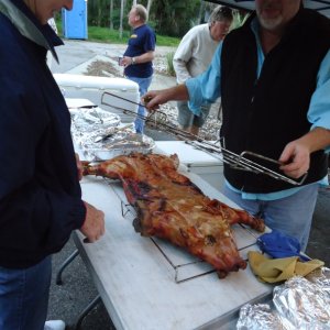 Media 'Pig after' in album 'C-Dories at Rivercrest'