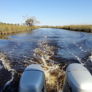 Scipio Creek