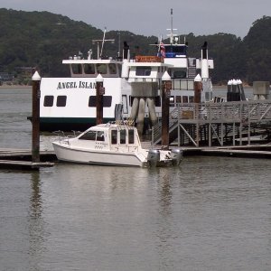 (melon) at Angel Island