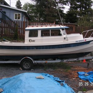 \"Miss Amelia\" in my yard in Sitka, AK after catching a few Kings