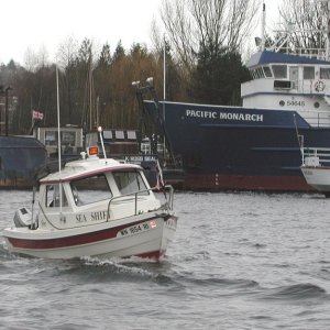 Sea Shift - Lake Union