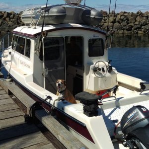 Media 'Tied up at Powell River marina' in album 'New (to me)2015 GMC Sierra Duramax parked at Egmont BC. Juno is keeping watch.'
