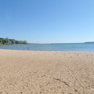 P8230156