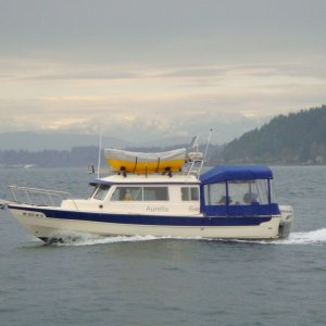 Media 'Bainbridge island in background taken southbound from sailing vessel Salpare' in album 'A reborn 25 cruiser (Aurelia)

just like it looks..AAAREYLEEAAA'