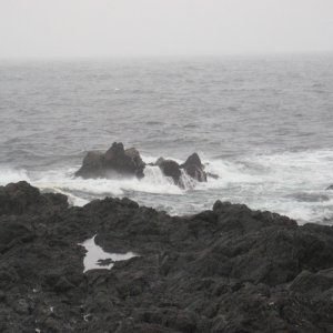 Media 'calm day outside Wikkaninnish Inn wind came up later to really pound the beach with 10 footers' in album 'Inside the Pointe restaurant at Wikaninnish Inn West coast near Tofino.  Very expensive and worth it!'
