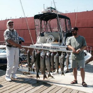 The catch - day two.