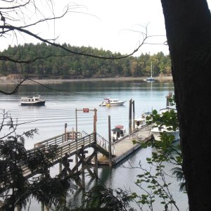 Media 'C-Brats at Prevost Harbor marine park dock.  Stuart Island' in album 'Friday Harbor'